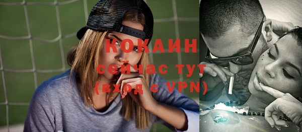 прущие крисы Абаза
