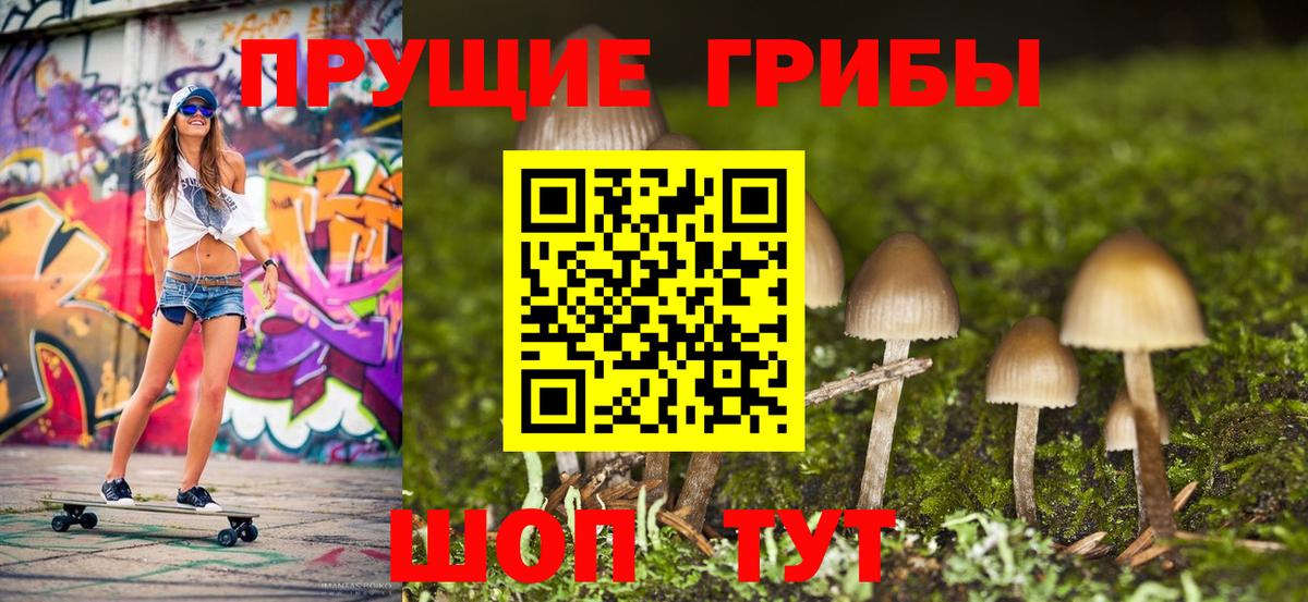 Псилоцибиновые грибы Cubensis  Вход с VPN  Камень-на-Оби 