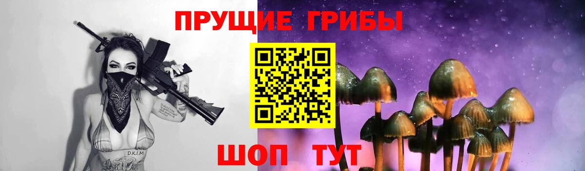 Галлюциногенные грибы GOLDEN TEACHER Камень-на-Оби