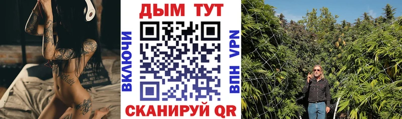 купить закладку  Камень-на-Оби  Бошки марихуана Ganja 